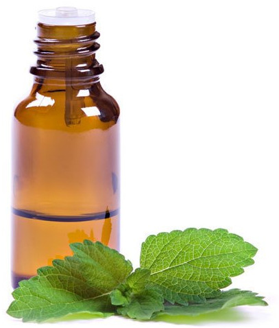 Natural Menthol Oil