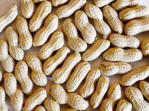 Shelled Peanuts