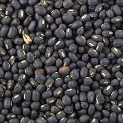 Black Urad Dal