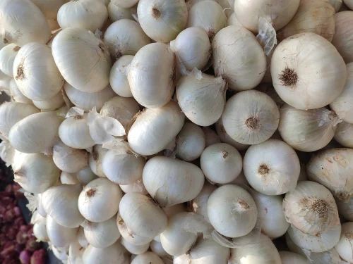 Fresh White Onion