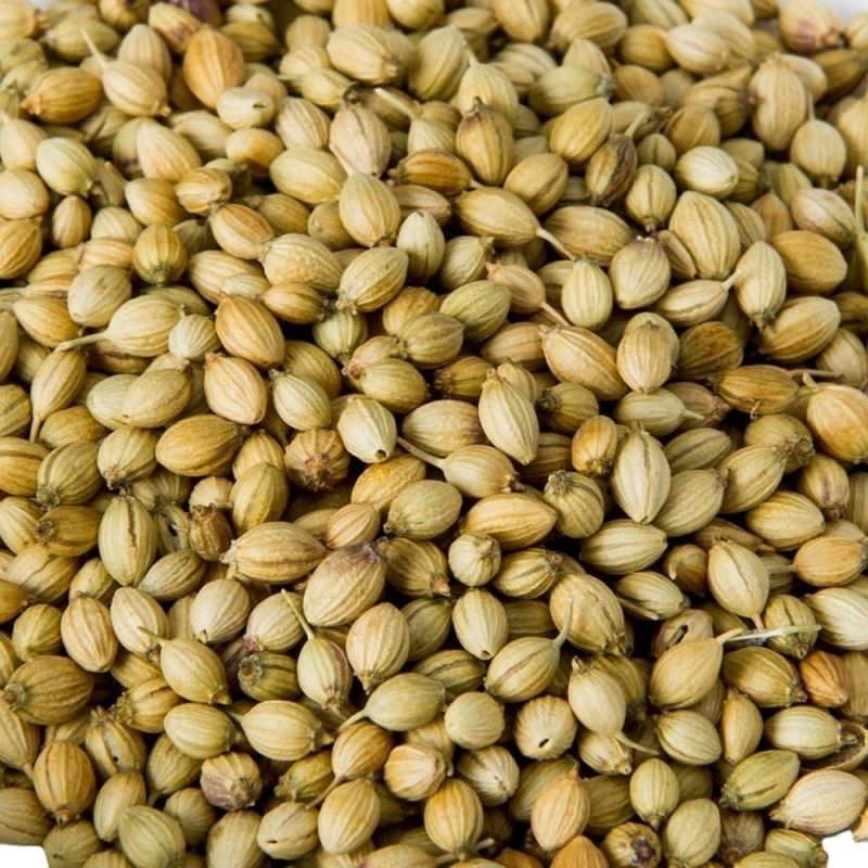 Dried Organic Coriander Seed