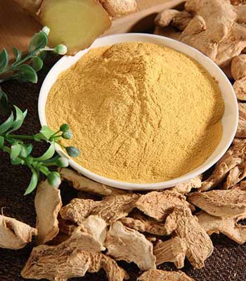 Dehydrated Ginger Powder