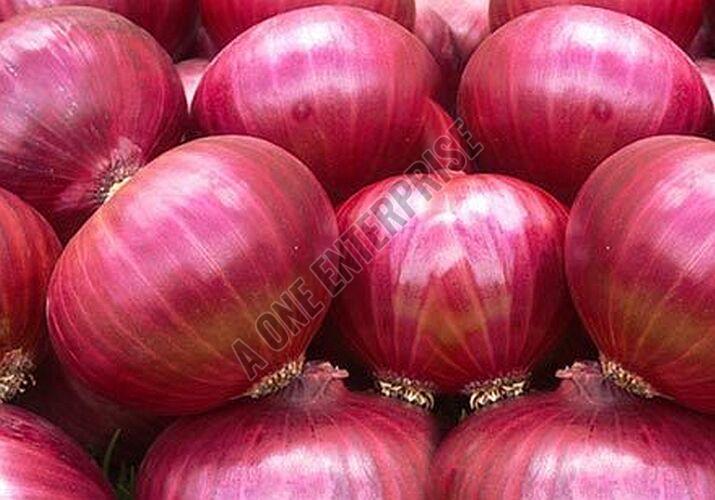 Fresh Big Red Onion