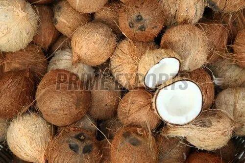 Coconuts