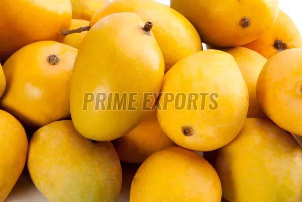 Mangoes