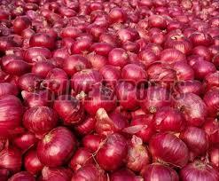 A Grade Red Onion