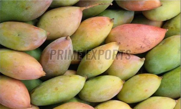 Fresh Totapuri Mango