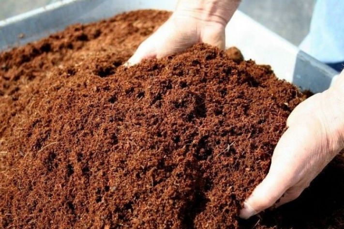 Cocopeat Powder