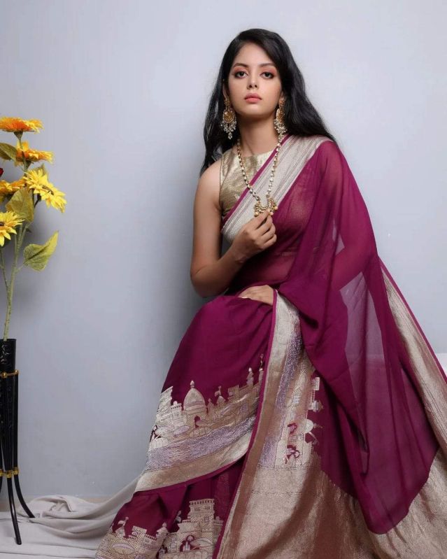 Indian Banarasi Silk Saree