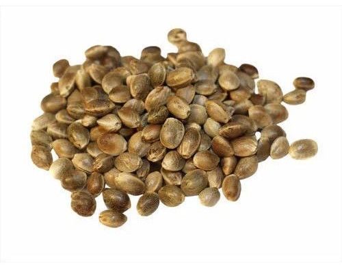 Hemp Seeds