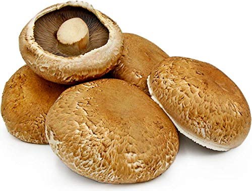 Portobello Mushroom