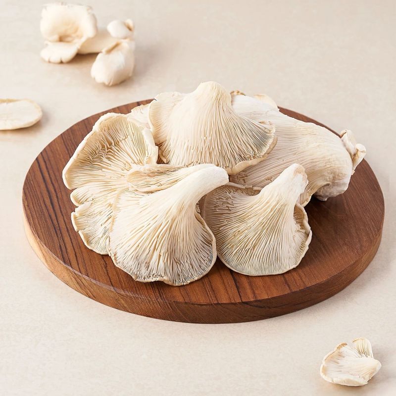 Oyster Mushroom