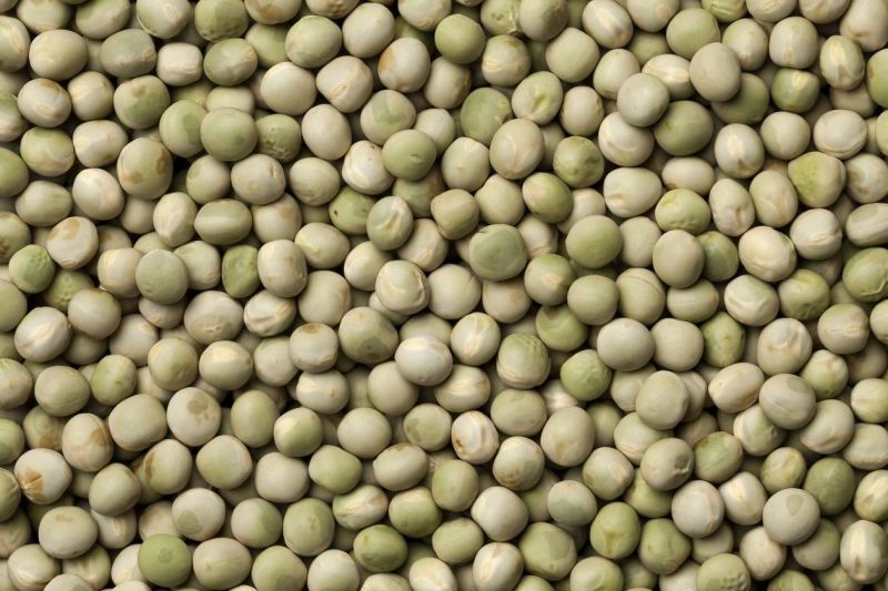 Dantewada Green Pea Seed