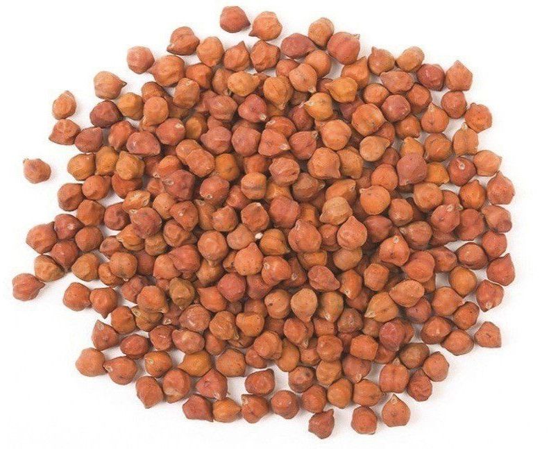 HC-5 Chickpea Seed