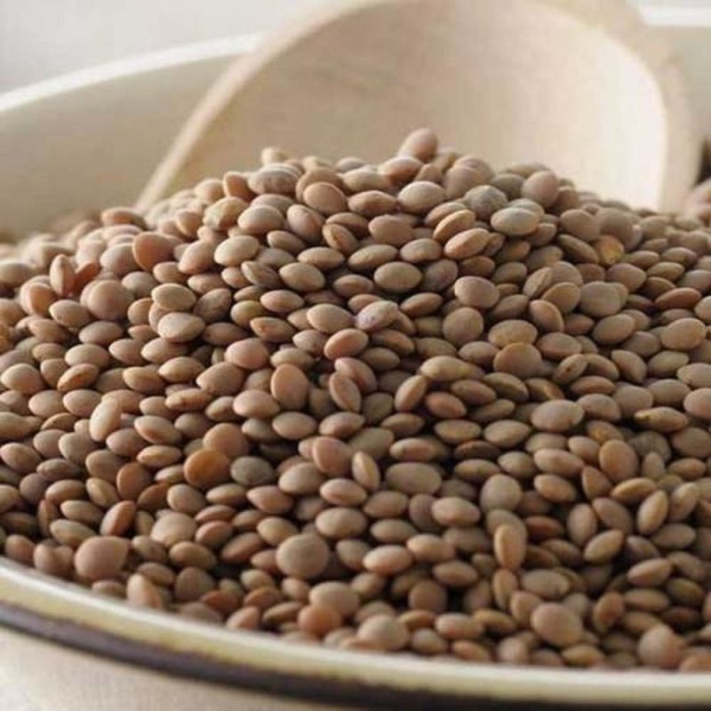 IPL-81 Masoor Dal Seed