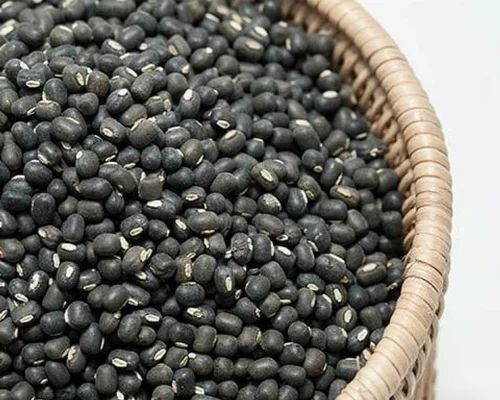 IPU-94-1 Urad Dal Seed