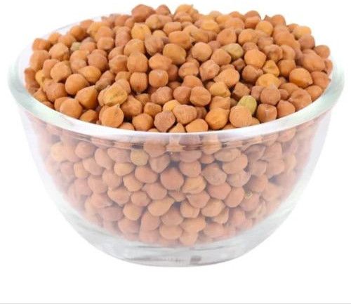 PBG-5 Chickpea Seed