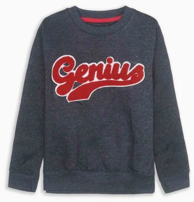 Boys Fleece Printed Sweatshirt