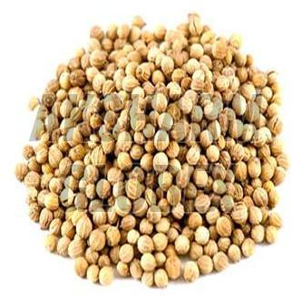 Coriander Seeds