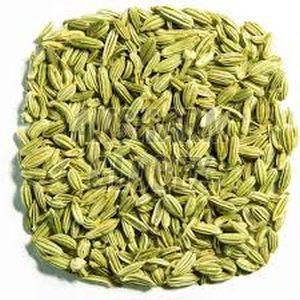 Fennel Seeds