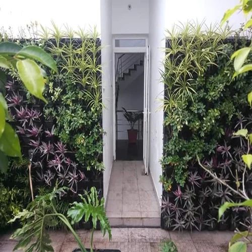 Vertical Garden Services