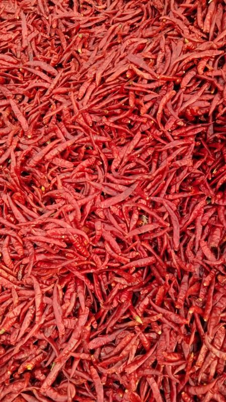 Teja Dried Red Chilli