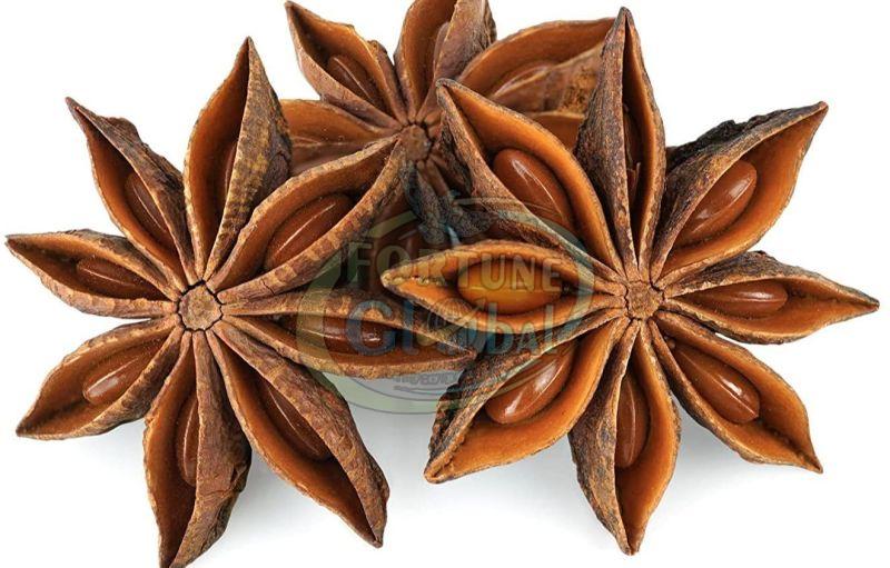 Autumn Star Anise