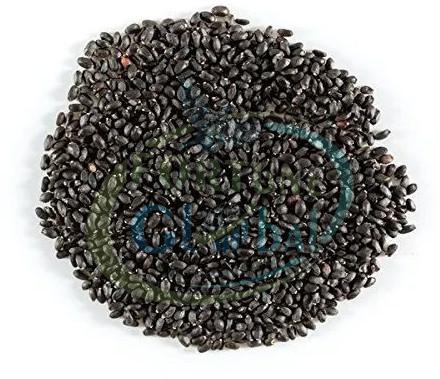 Basil Seeds