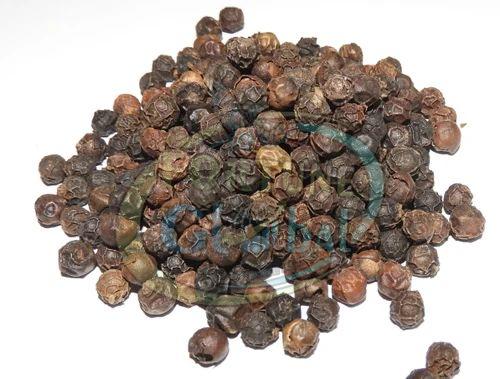 Black Pepper Seeds