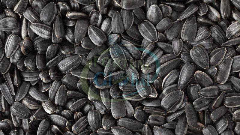 Black Sunflower Seeds