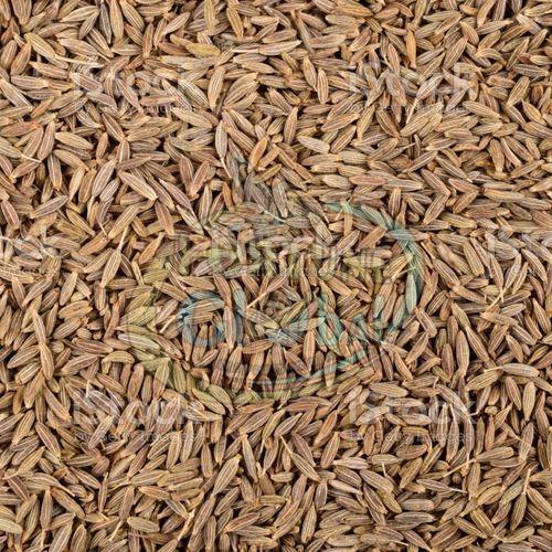 Brown Cumin Seeds