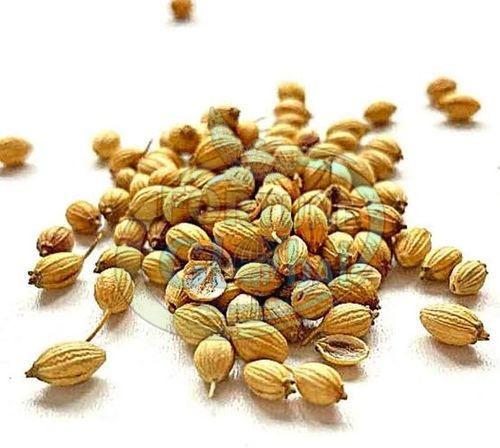 Coriander Seeds