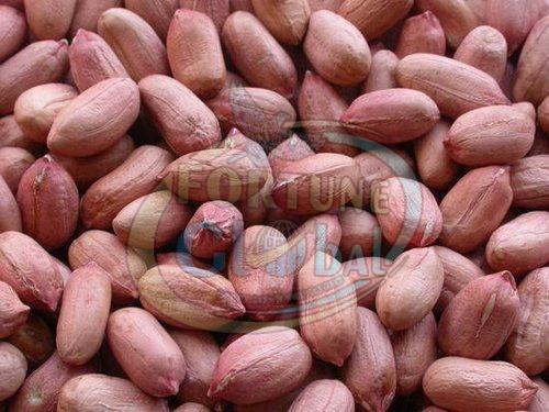 Indian Bold Peanut