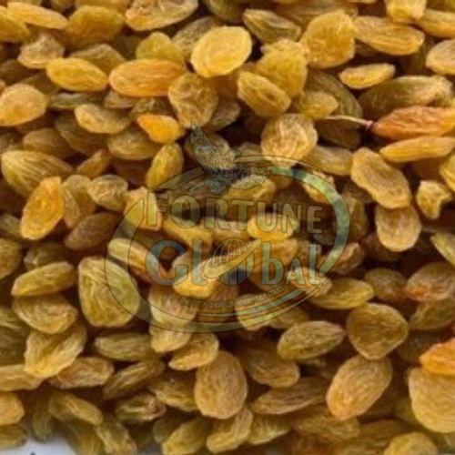 Indian Round Golden Raisins