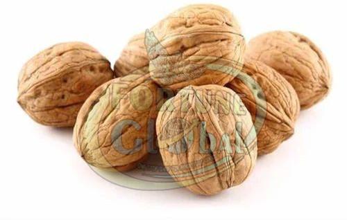 Kashmiri In Shell Walnuts