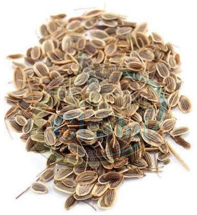 Patrani Brown Dil Seeds