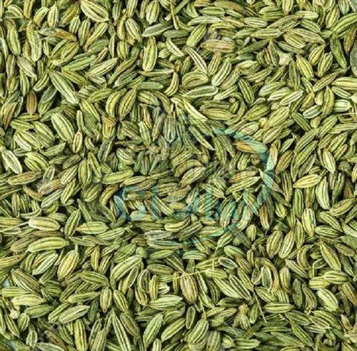 Patrani Green Fennel Seeds