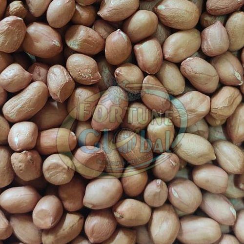 Peanut Groundnut Seeds