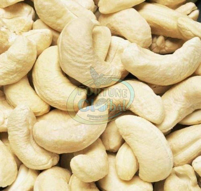 Cashew WW400 Nuts