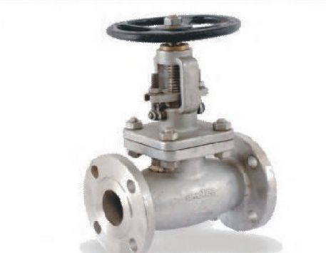 Stainless Steel Globe Valve
