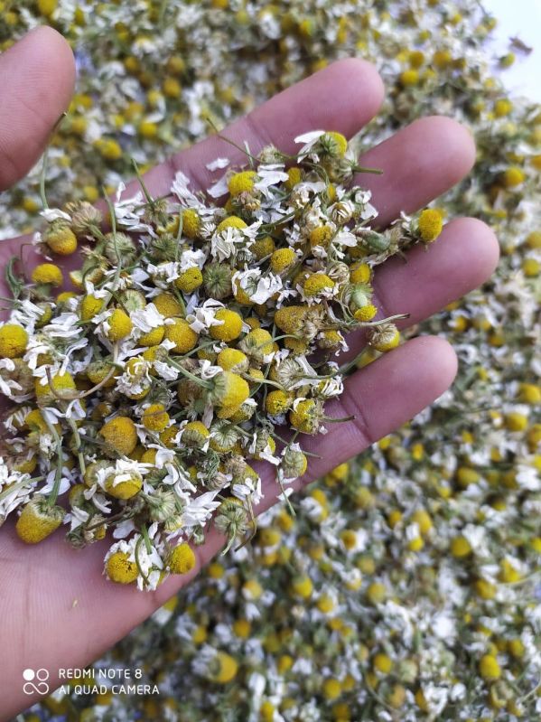Chamomile Tea
