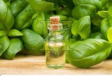 Frankincense Oil