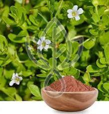 Bacopa Monnieri Powder