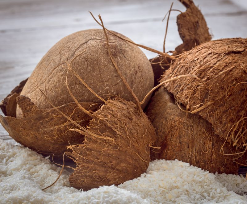 Coconut Husk