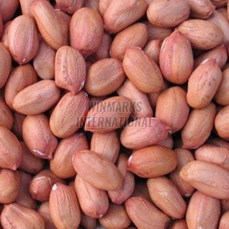 Peanut Kernels