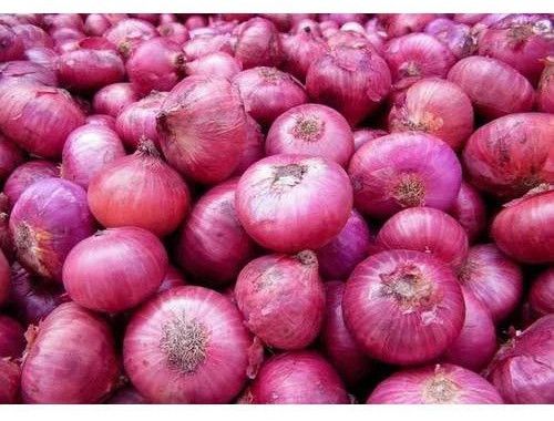 Fresh Red Onion