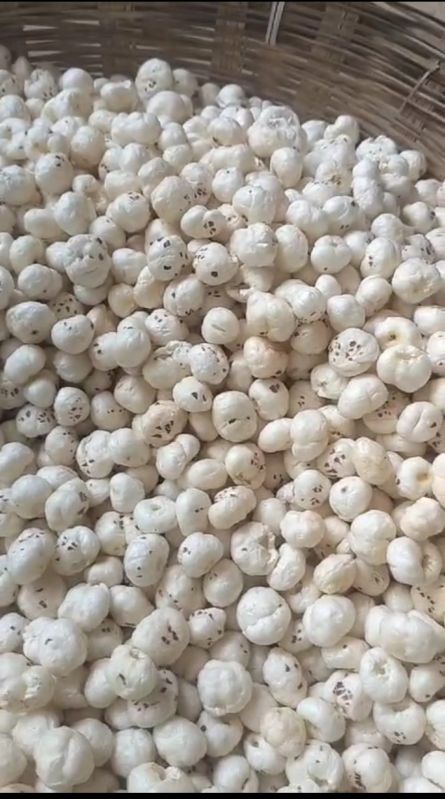 Raw Makhana