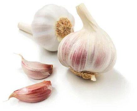 Fresh Garlic