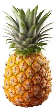 Organic Juicy Pineapple