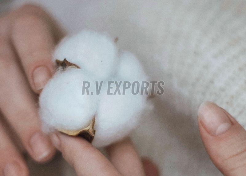 Ginned Raw Cotton